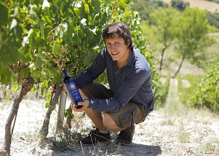 Tenuta Folesano Wine Estate 13th Century Çiftlik konaklama *